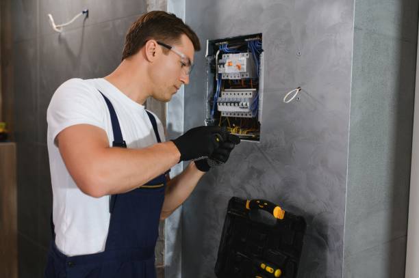 Best Electric Panel Repair  in Carlinvle, IL