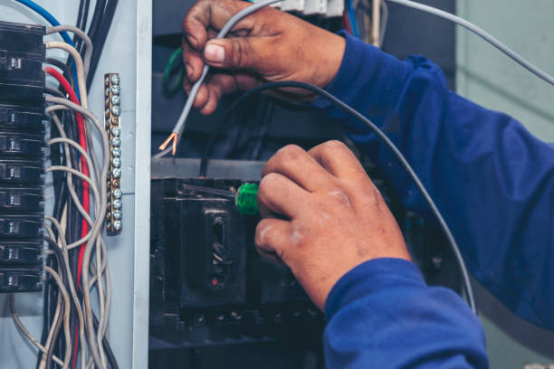 Best Electrical Upgrades for Homes  in Carlinvle, IL